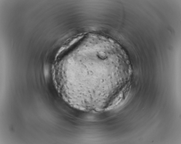 X0000113980094200910161633