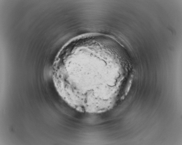 X0000113980095200910161633