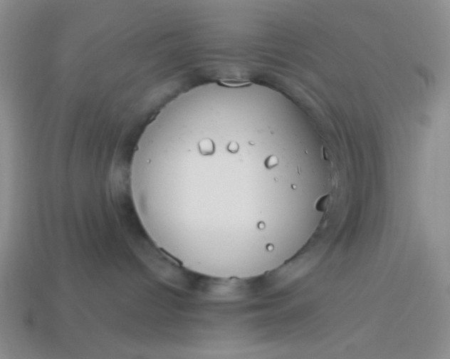 X0000113980096200910161633