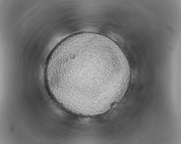 X0000113980098200910161632