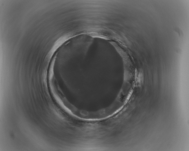 X0000113980099200910161632