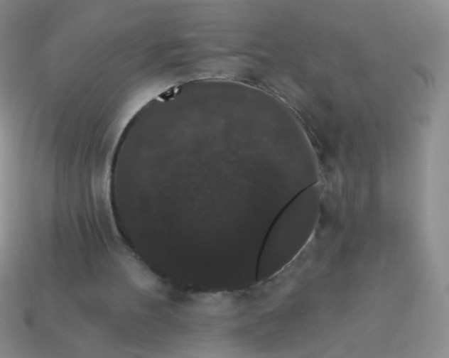 X0000113980100200910161632