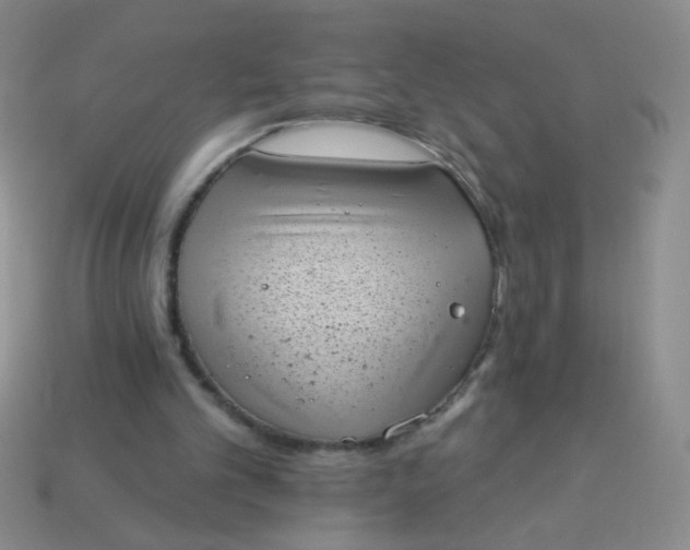 X0000113980101200910161632