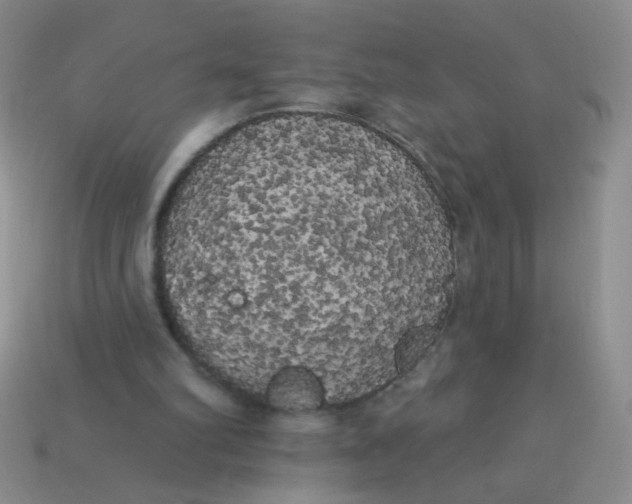 X0000113980102200910161632