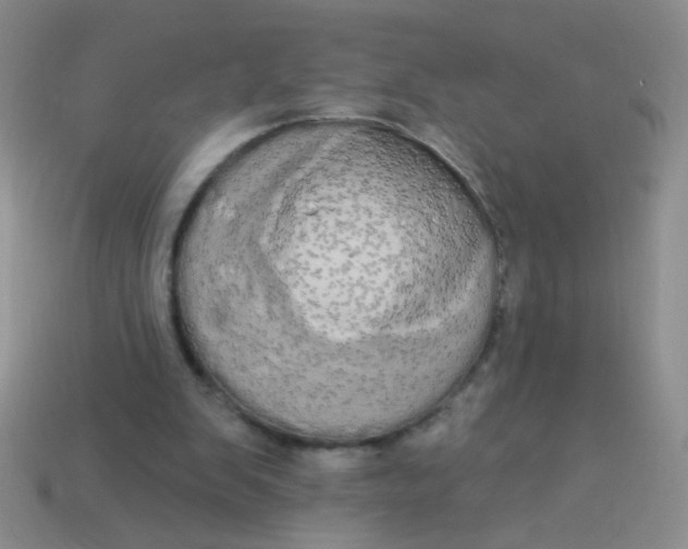 X0000113980103200910161632