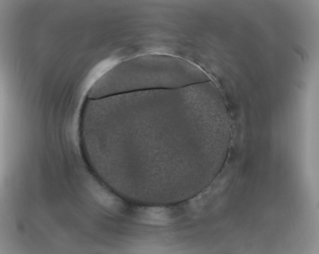 X0000113980104200910161632