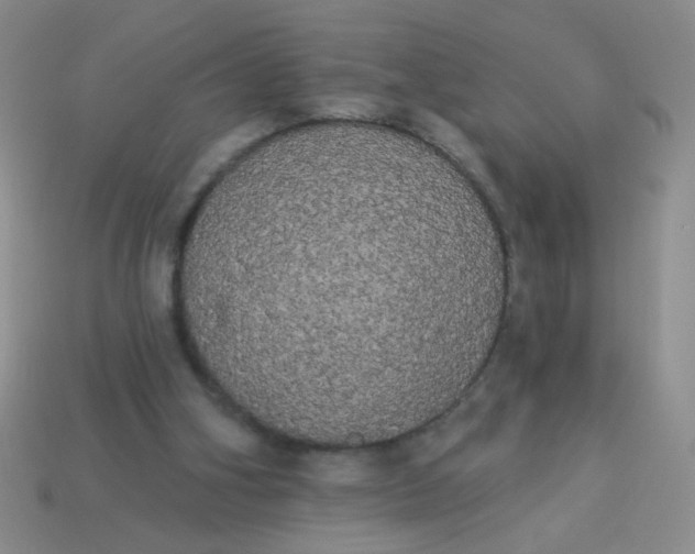 X0000113980106200910161632