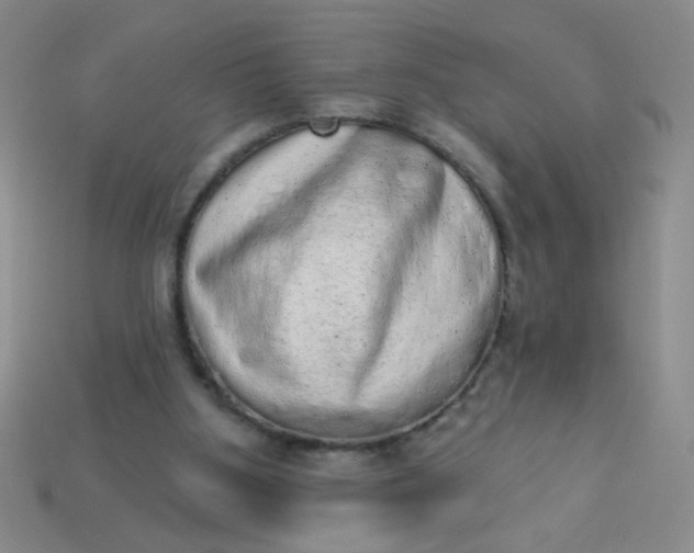 X0000113980107200910161632