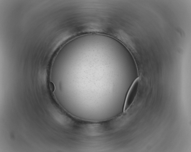 X0000113980108200910161632