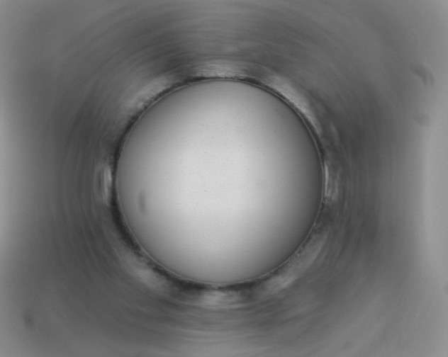 X0000113980109200910161632