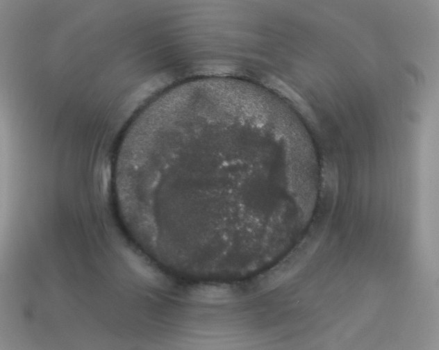 X0000113980110200910161632