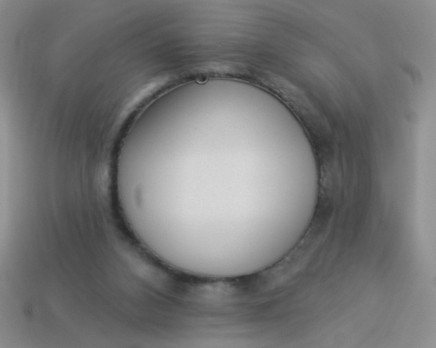 X0000113980112200910161632