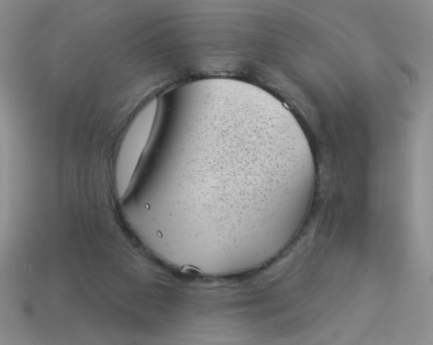 X0000113980113200910161632