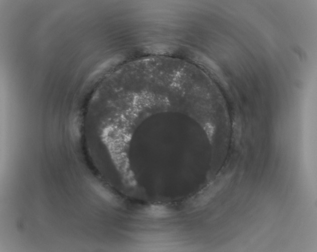 X0000113980114200910161632