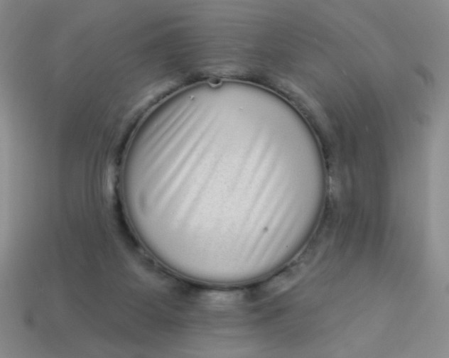 X0000113980115200910161632