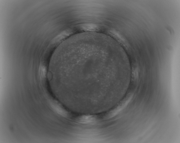 X0000113980117200910161632