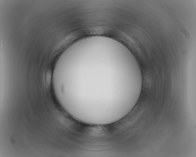 X0000113980118200910161632