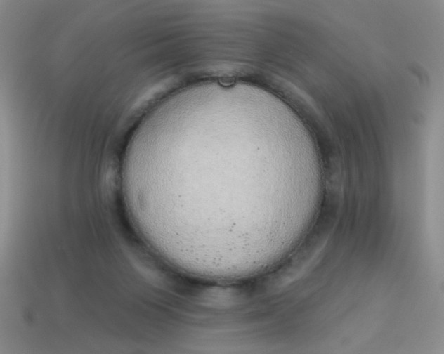 X0000113980119200910161632