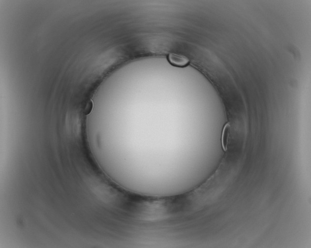 X0000113980120200910161632