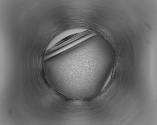 X0000113980121200910161632