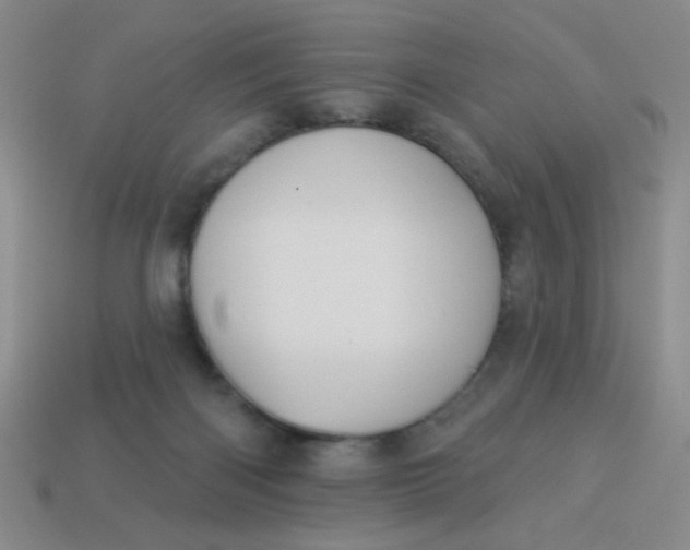 X0000113980122200910161632