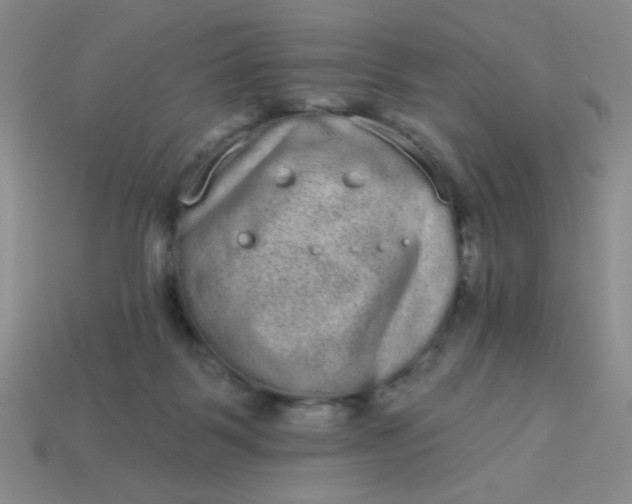 X0000113980123200910161632