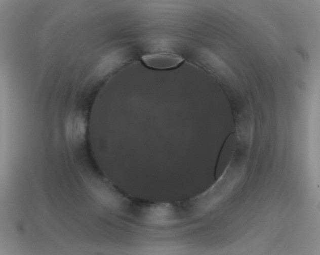 X0000113980124200910161632