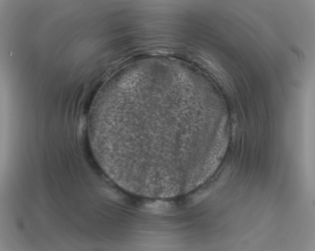 X0000113980125200910161632