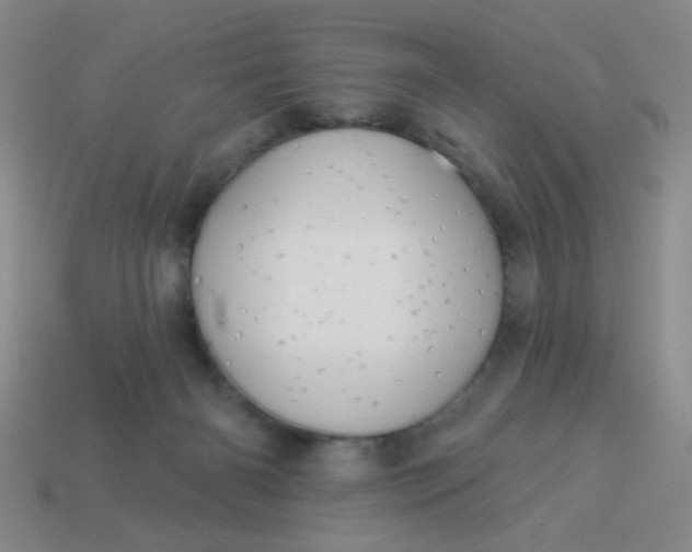 X0000113980126200910161632