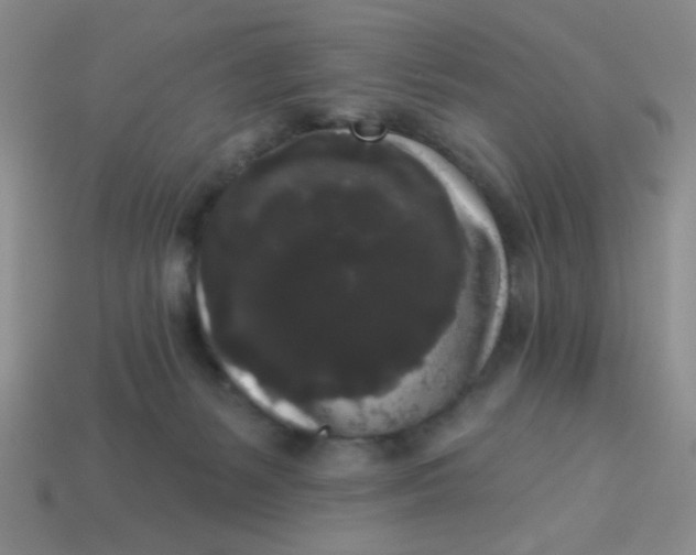 X0000113980127200910161632