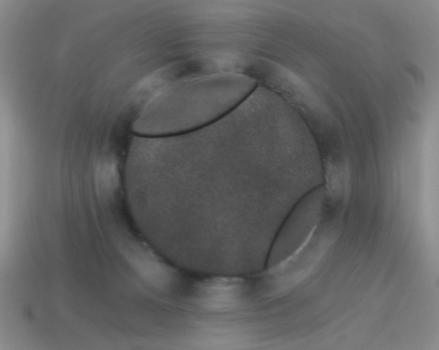 X0000113980128200910161632