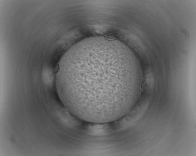 X0000113980129200910161632