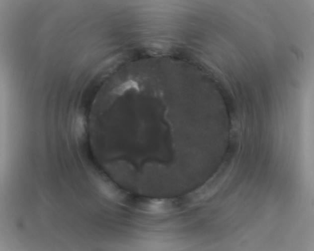 X0000113980130200910161632