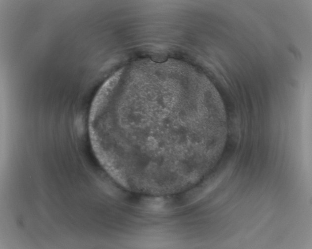 X0000113980131200910161632