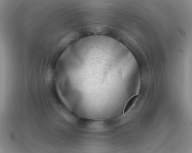 X0000113980132200910161632