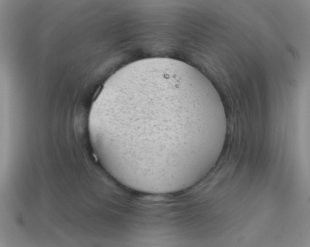 X0000113980133200910161632