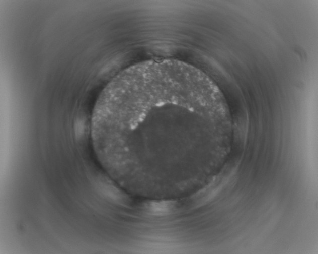 X0000113980134200910161632