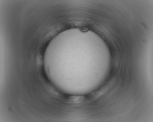 X0000113980135200910161632