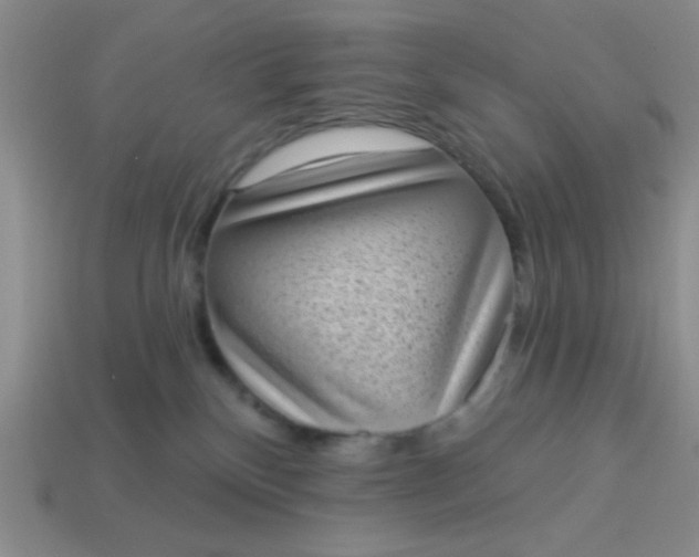 X0000113980136200910161632