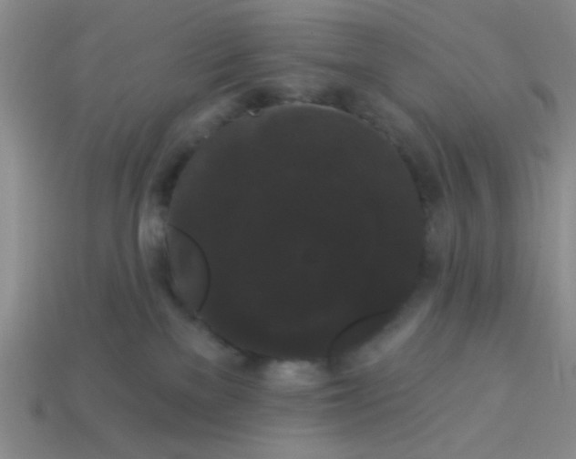 X0000113980137200910161632