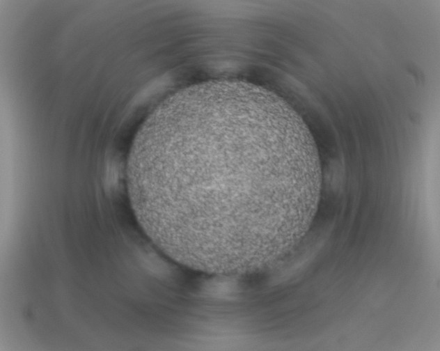 X0000113980138200910161632