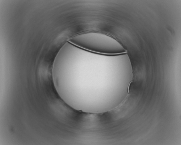 X0000113980140200910161632