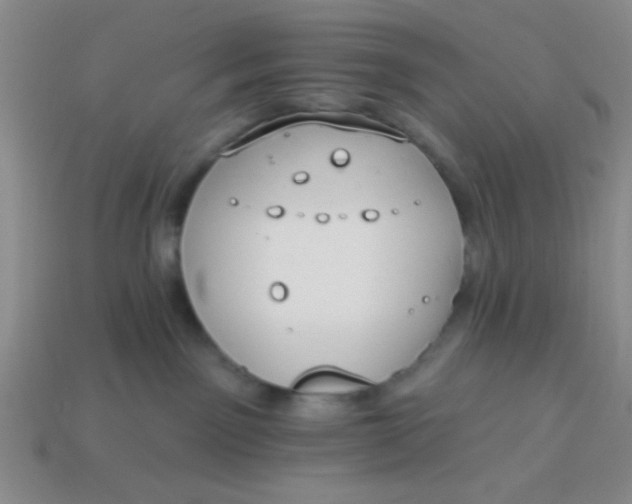 X0000113980141200910161631