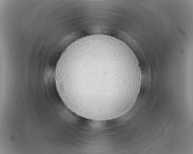 X0000113980142200910161631