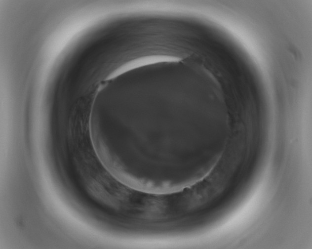 X0000113980143200910161631