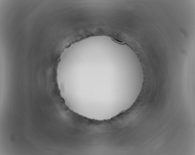 X0000113980144200910161631