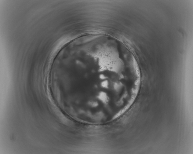 X0000113980145200910161630