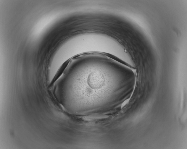 X0000113980146200910161630