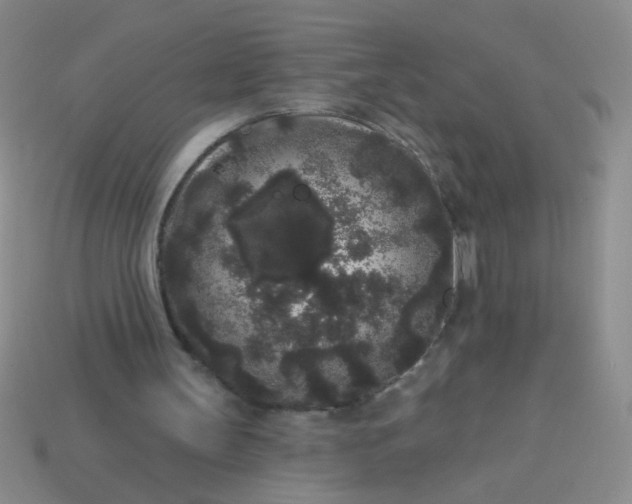 X0000113980147200910161630