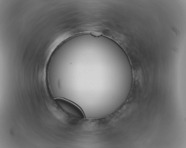 X0000113980148200910161630